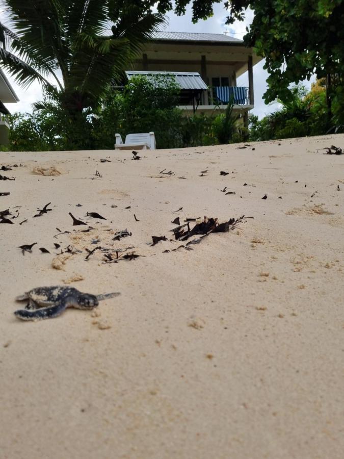 La Digue Luxury Beach Bungalow Spa&Gym Exterior foto